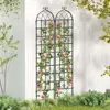 Black Color