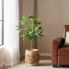 Green Color