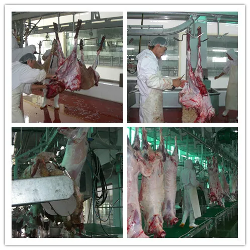 Sheep skin peeling machine for goat slaughterhouse, efficient lamb skin removal equipment
