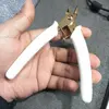 Customized color