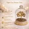 Tiger Eye