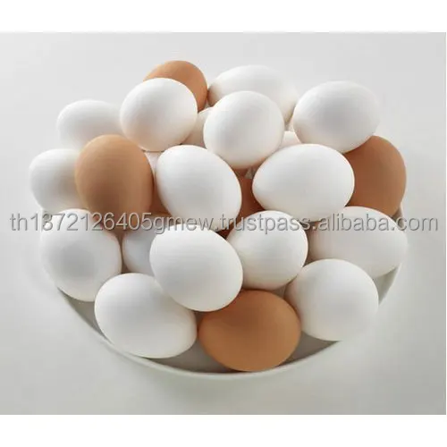 fresh-hen-egg-500x500.jpg