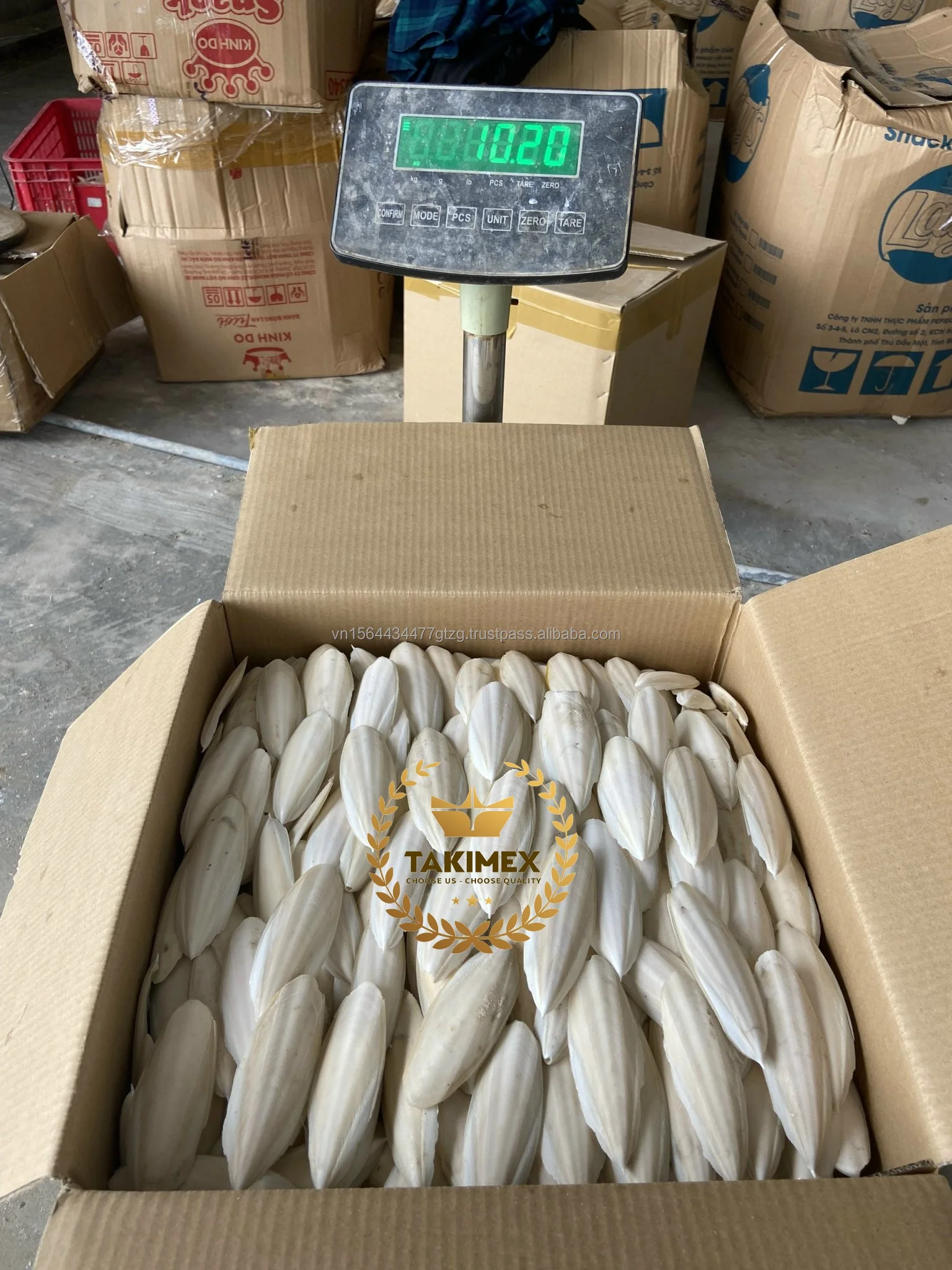 Very High Quality Dried Cuttlefish Bone/ Cuttle Bone/ Sepia Bone