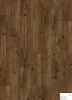 0005-5