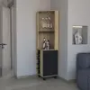 Natural Oak / Black Color