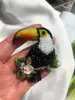 Multi