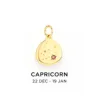 Carricorne
