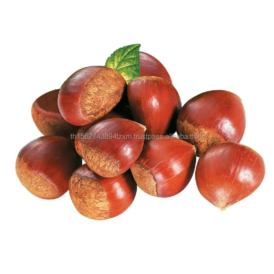 chestnuts (2).jpg