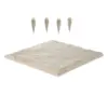 Beige Color