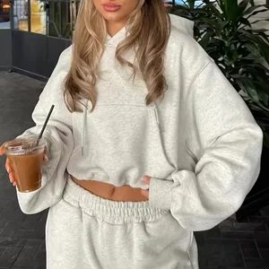 2026 High Quality Pullover Cropped Loose Fit Polyester Sweatshirt Street Style Big Pocket Casual Women Sportswear Hoodies