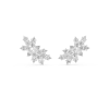 Oro blanco