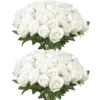 White Color