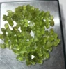 ตามภาพ