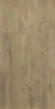 Desert Sand