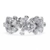 Oro blanco