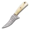 CAMLE BONE