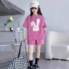 Pink Bunny Street Set