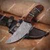 Ram Horn & Rosewood