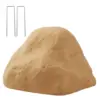 Sandy Color