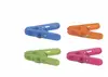 Multicolore