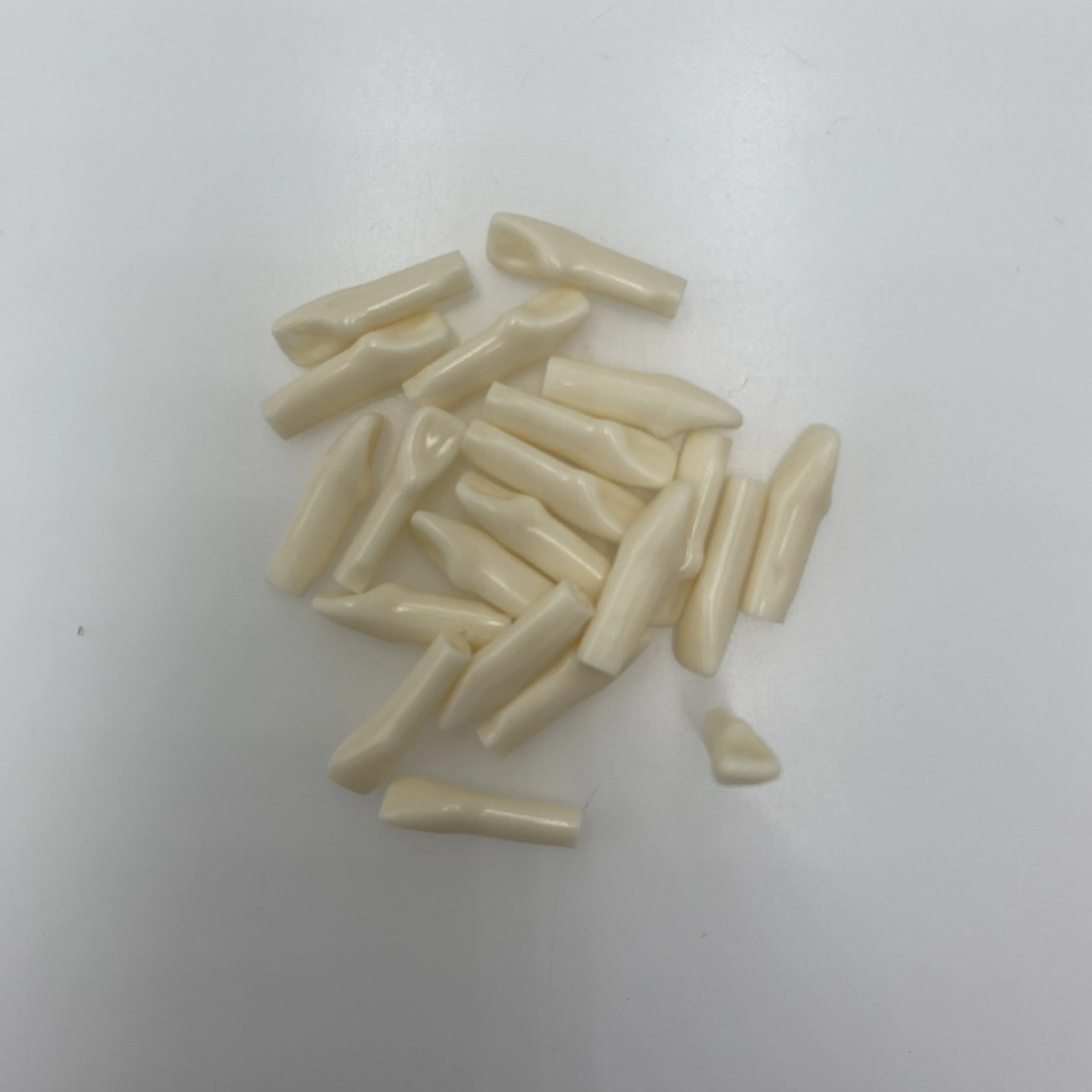Nissin Type Typodont Resin Teeth Replacement for Dentist Oral Teaching Model