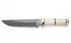 Off-White/Ivory Handle