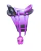Puple