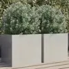 Silver Color