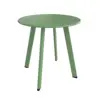 Sage Green Color