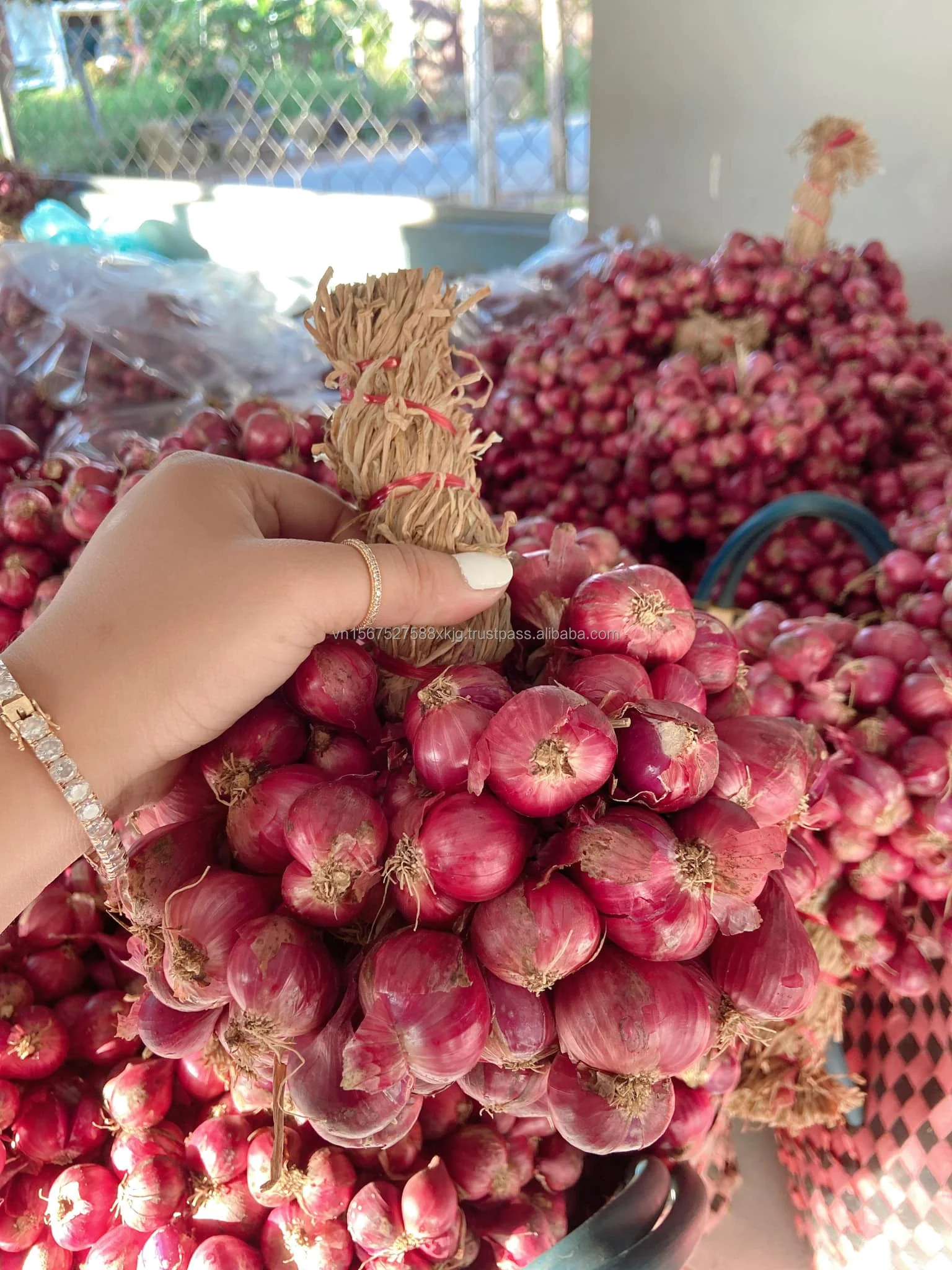 Свежий лук красный лук/золотой высокое качество лучшая цена-Используйте для приготовления хорошая цена от Вьетнама