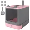 Pink Color