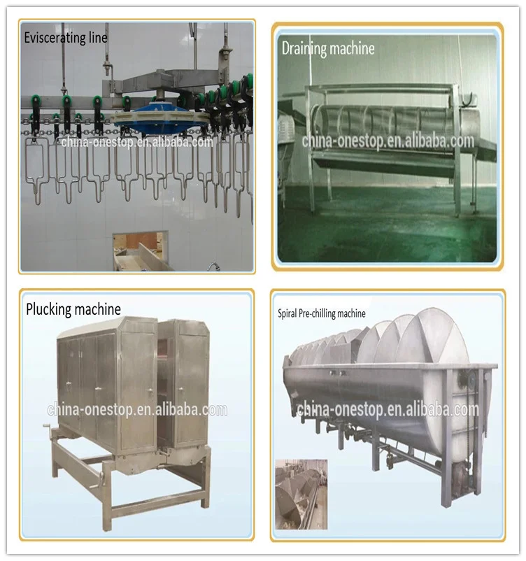 Complete Poultry Slaughtering Line - Turnkey solution for efficient processing