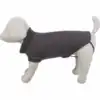 antracite