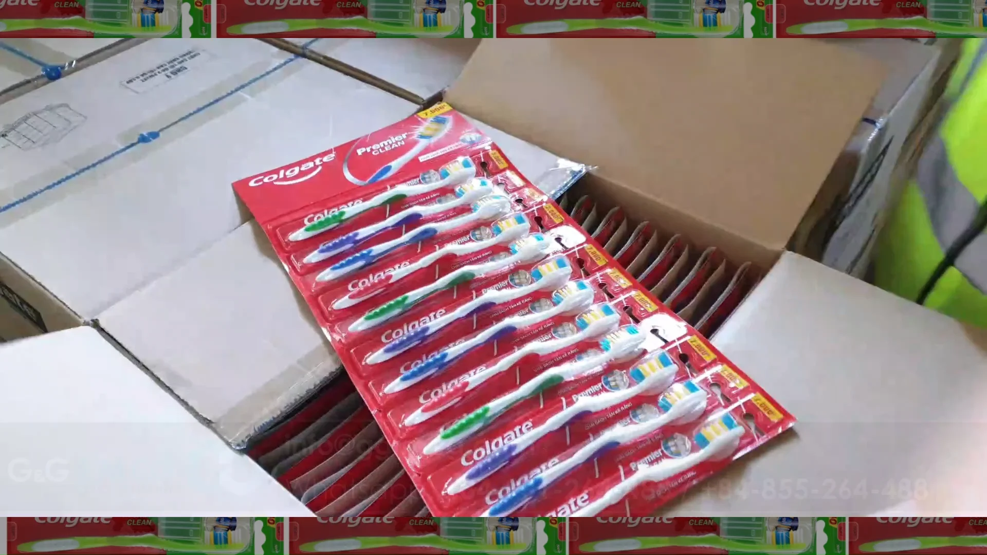 Colgate Toothbrush Premier Clean Pack 12/ Vietnam Wholesale Colgate