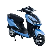 Customized EEC COC Certificated E Motorcycle Lead-acid Battery Adult Electric Scooter Moped Two Wheeler Motos
