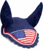 USA Flag