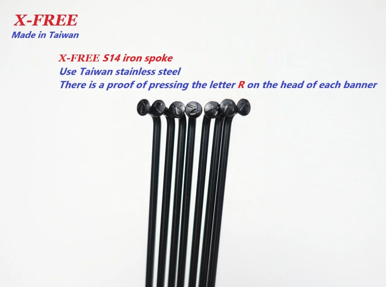 B11-33_X-FREES14 3.jpg