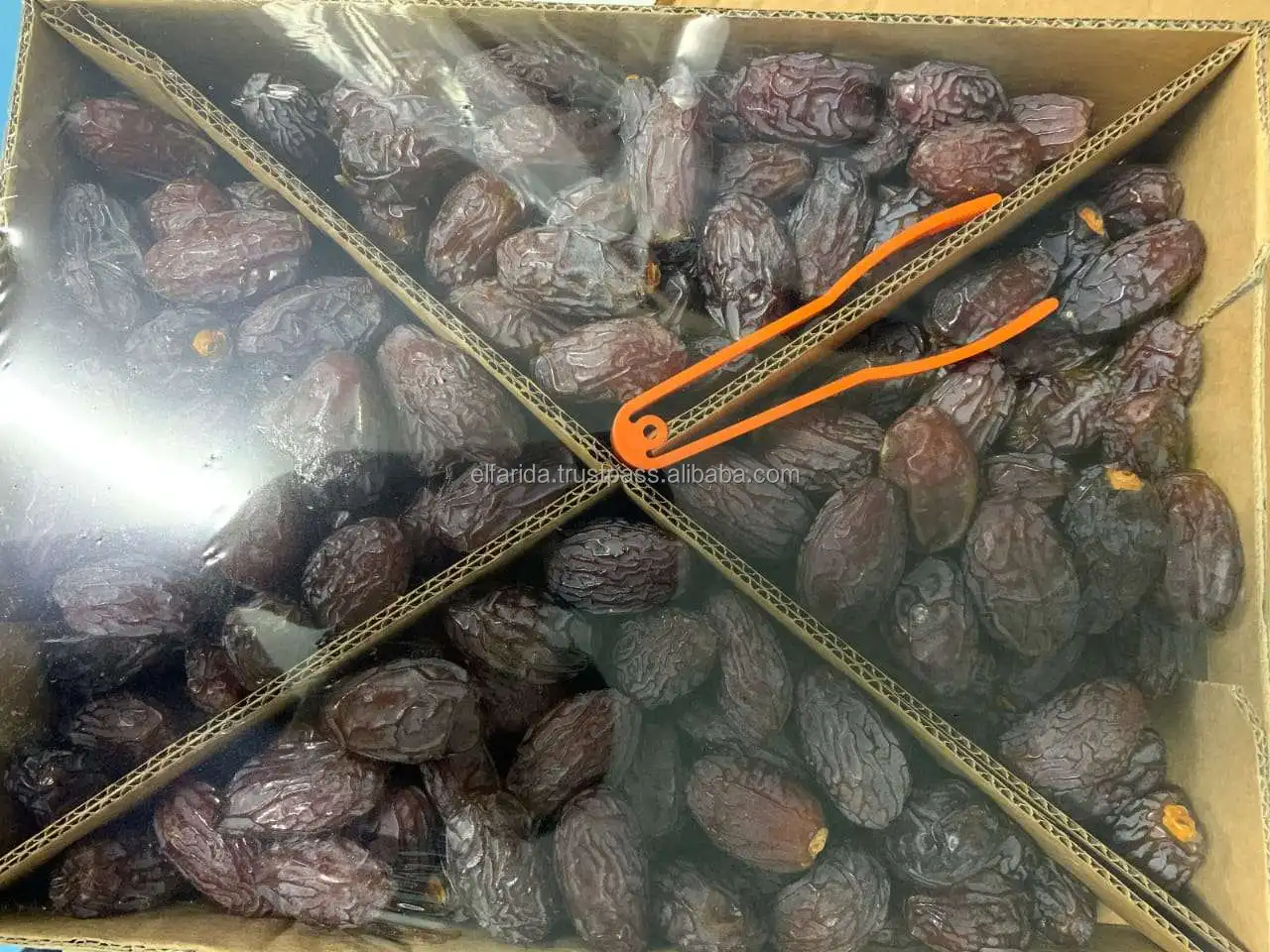 High quality best selling wholesale fresh dates natural healthy medjool