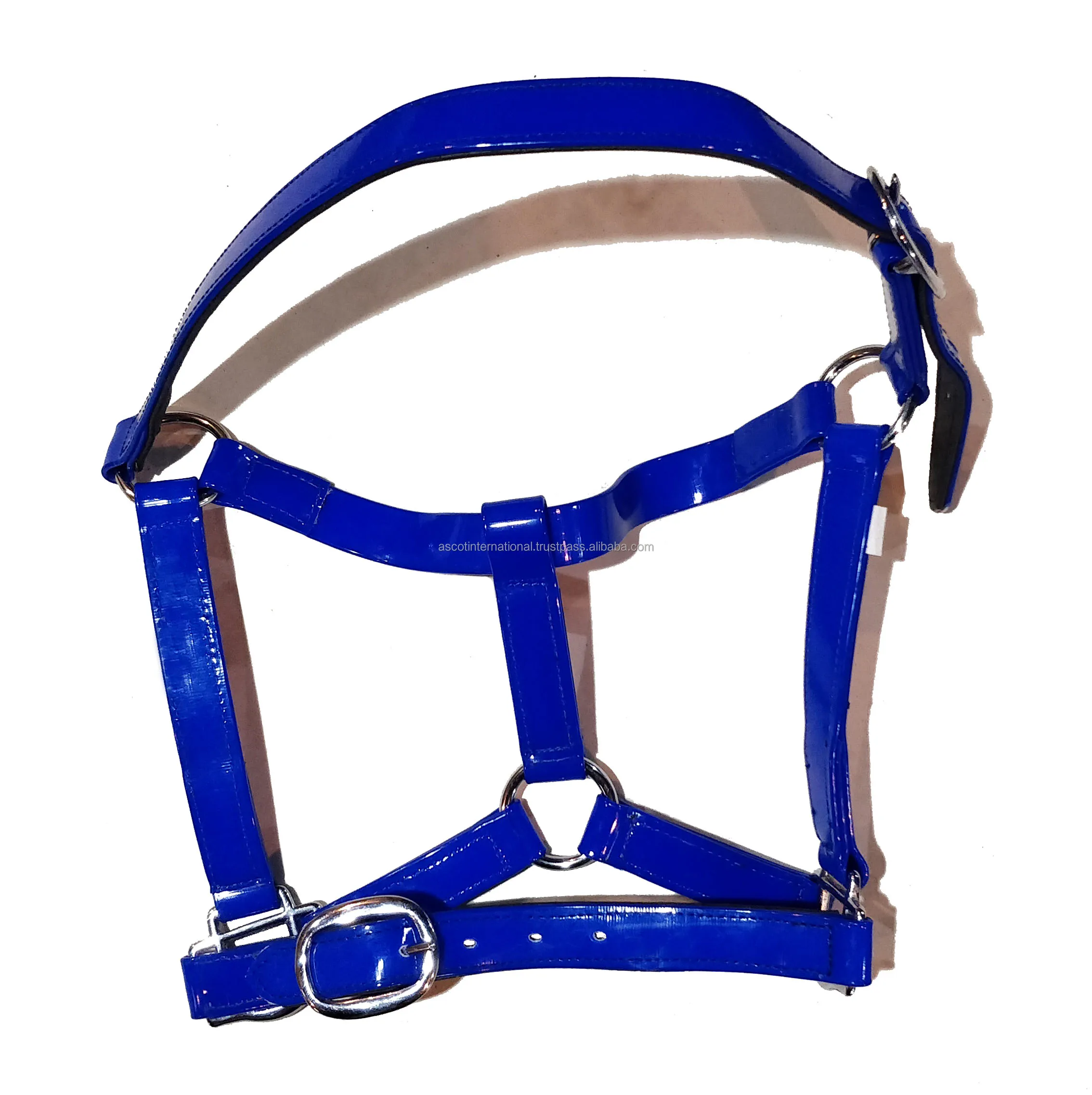 Hot Selling Pvc Horse Halter With Adjustable Buckle For Wholesale ...