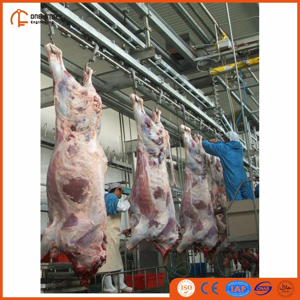 Halal Slaughter Equipment Synchronized Quarantine System for Cattle Offal for Slaughterhouse Operations