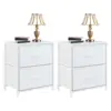 2pcs White Color