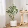 Green Color