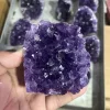 Pourpre