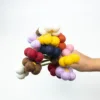 Ball Pom Pom Daisy