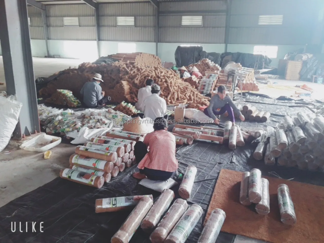 Eco Friendly Coconut Palm Stick Coir Moss Totem Pole Plant Stake