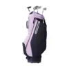Black + Purple Color