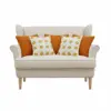 Burnt orange and white Color