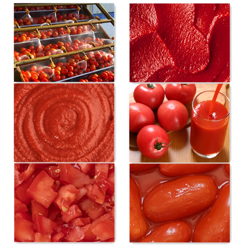 Fruit Processing Machine Pulping and Refining Machine for Pulp Paste Tubular Type Ketchup Pasteurizing Machine