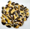 Jaune et marron, vendu au poids (grammes), 12 à 14 pièces pour 100 g