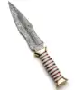 Polished Gold Metal, Crisp White and Ruby-Red Striped Segments